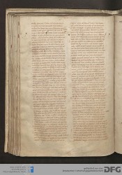 Blatt 81v
