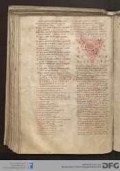Blatt 115v