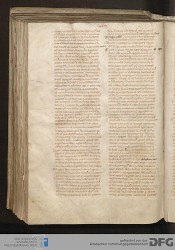 Blatt 161v