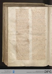 Blatt 166v