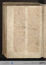 Blatt 173v