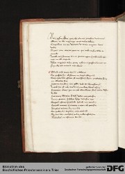 Blatt 13v