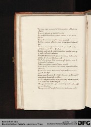Blatt 24v