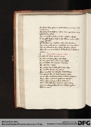 Blatt 49v