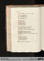 Blatt 82v