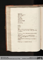 Blatt 84v