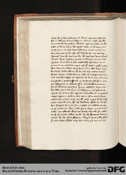 Blatt 100v
