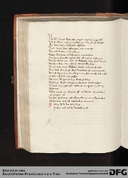 Blatt 113v