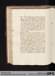 Blatt 117v