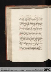 Blatt 119v