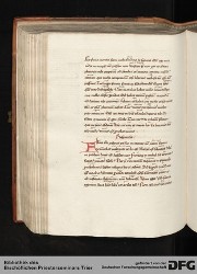 Blatt 206v