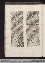 Blatt 161v