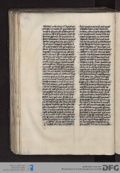 Blatt 146v