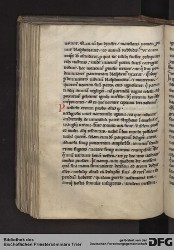 Blatt 116v