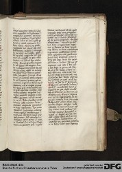 Blatt 117r