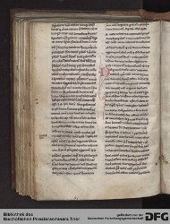 Blatt 135v