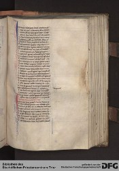 Blatt 113r