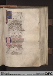 Blatt 115r