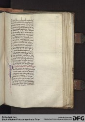 Blatt 195r