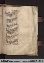 Blatt 206r