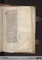 Blatt 229r