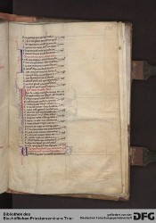 Blatt 242r