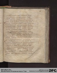 Blatt 45r