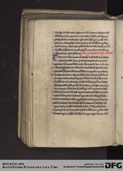 Blatt 141v