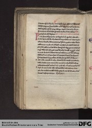 Blatt 146v