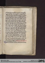 Blatt 175r