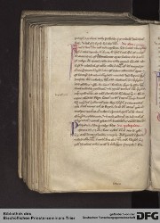 Blatt 196v