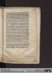 Blatt 217r