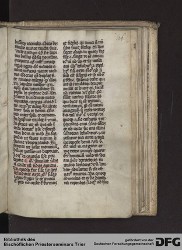 Blatt 116r