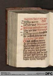 Blatt 134v