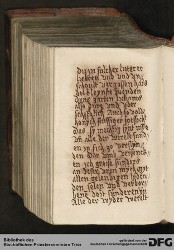 Blatt 369v