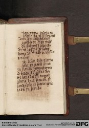 Blatt 381r