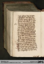 Blatt 394v