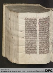 Blatt 389v