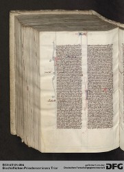 Blatt 443v