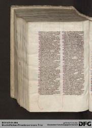 Blatt 481v