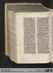 Blatt 491v