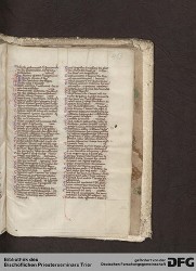 Blatt 493r