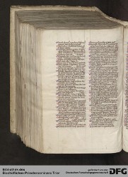 Blatt 493v