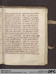 Blatt 106r