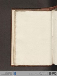 Blatt 11v
