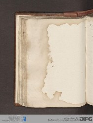 Blatt 41v