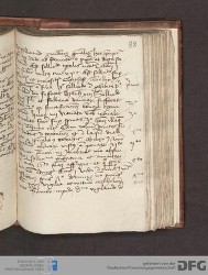 Blatt 117r