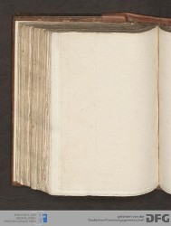 Blatt 137v
