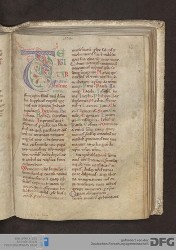 Blatt 126r