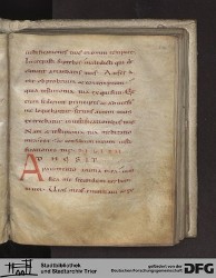 Blatt 142r